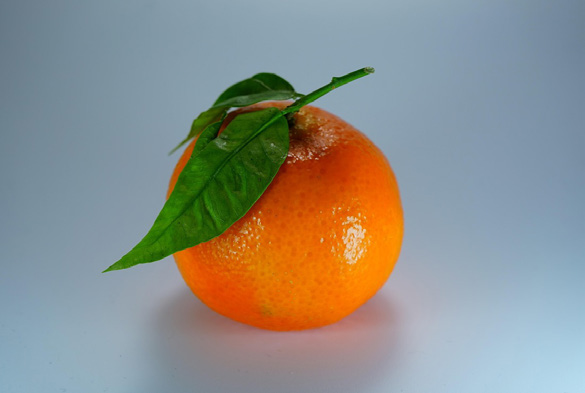 Création de contenus digitaux